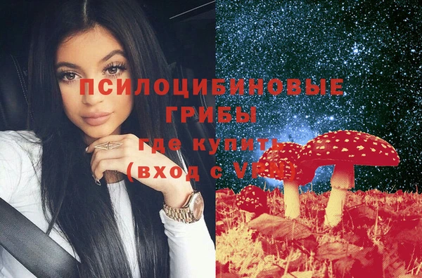 Альфа ПВП Алексин