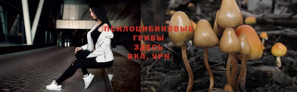 Альфа ПВП Алексин