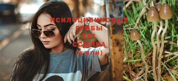спайс Алексеевка