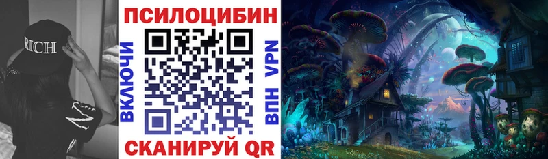 Псилоцибиновые грибы прущие грибы  kraken сайт  Багратионовск 