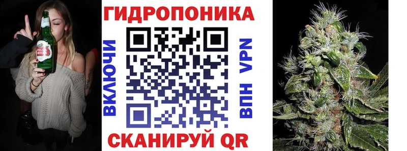 Конопля White Widow  наркотики  Багратионовск 